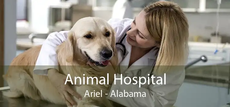 Animal Hospital Ariel - Alabama
