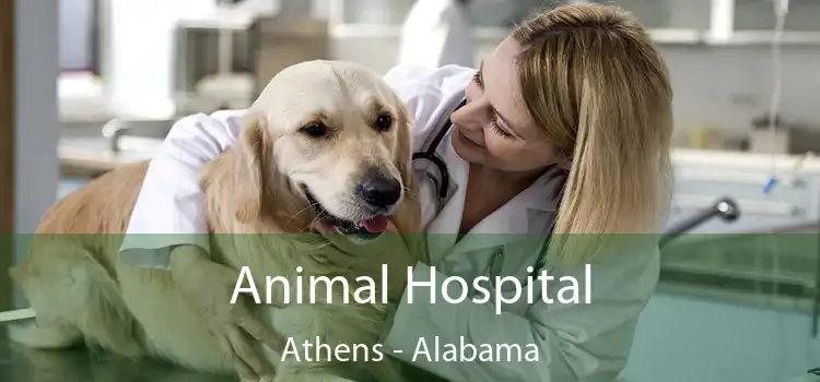 Animal Hospital Athens - Alabama