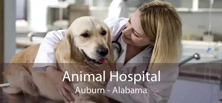 Animal Hospital Auburn - Alabama