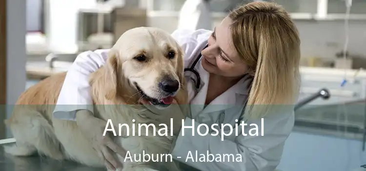 Animal Hospital Auburn - Alabama