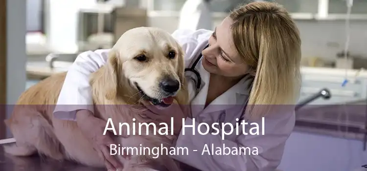 Animal Hospital Birmingham - Alabama