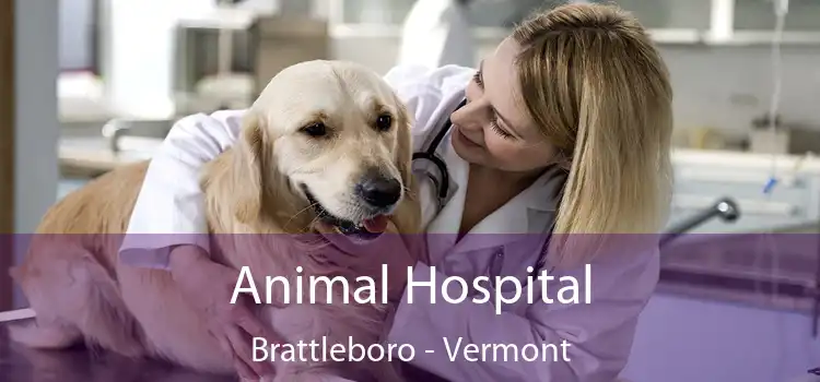 Animal Hospital Brattleboro - Vermont