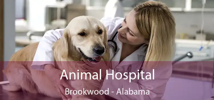 Animal Hospital Brookwood - Alabama