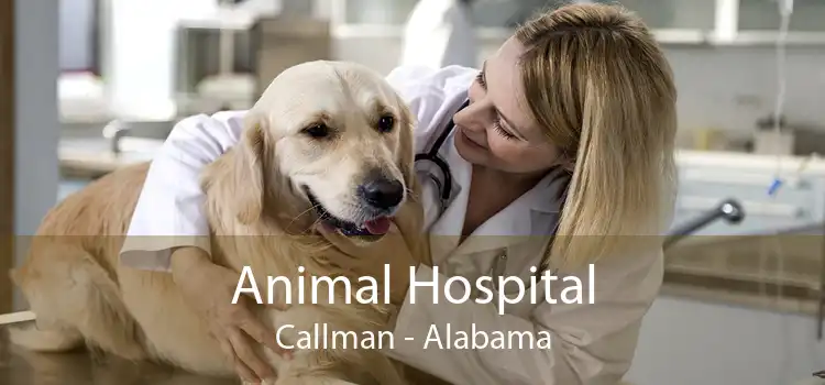 Animal Hospital Callman - Alabama