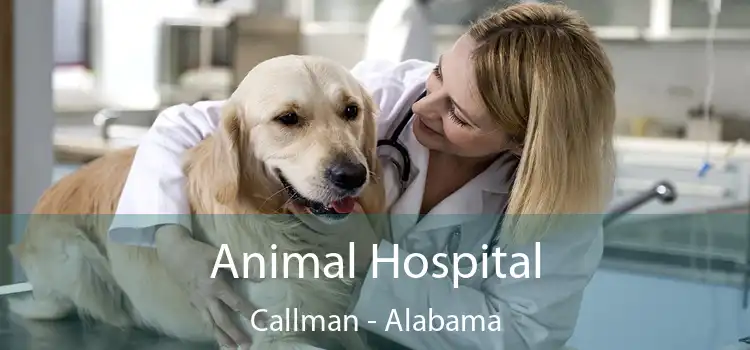 Animal Hospital Callman - Alabama