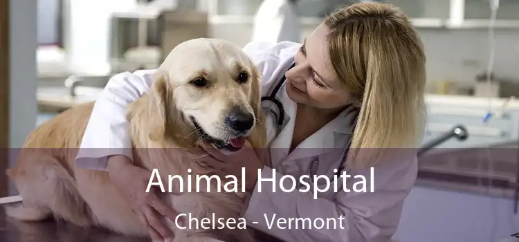 Animal Hospital Chelsea - Vermont