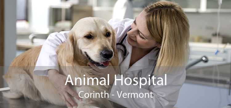 Animal Hospital Corinth - Vermont