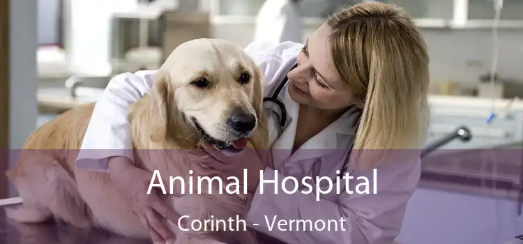 Animal Hospital Corinth - Vermont
