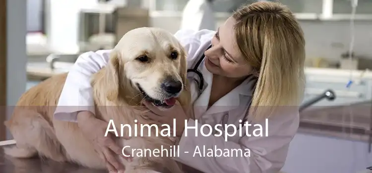Animal Hospital Cranehill - Alabama