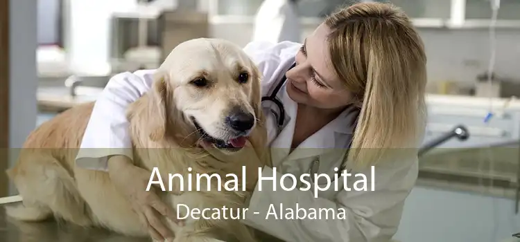 Animal Hospital Decatur - Alabama