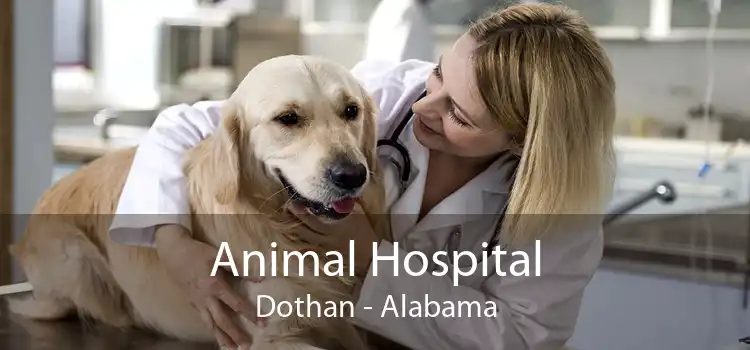 Animal Hospital Dothan - Alabama