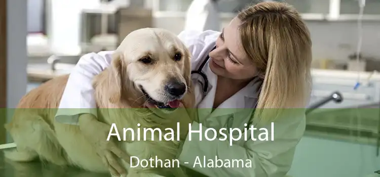 Animal Hospital Dothan - Alabama