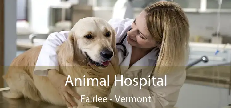 Animal Hospital Fairlee - Vermont