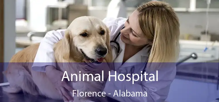 Animal Hospital Florence - Alabama