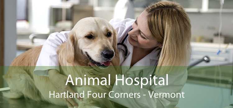 Animal Hospital Hartland Four Corners - Vermont