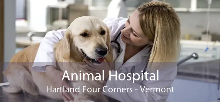 Animal Hospital Hartland Four Corners - Vermont