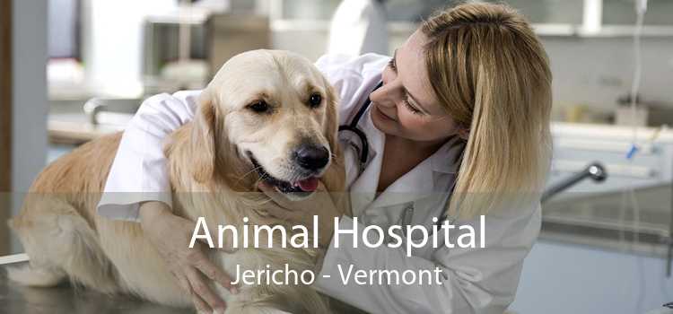 Animal Hospital Jericho - Vermont