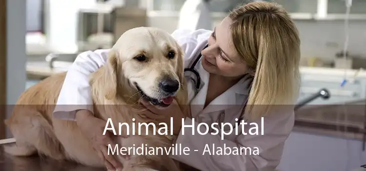 Animal Hospital Meridianville - Alabama