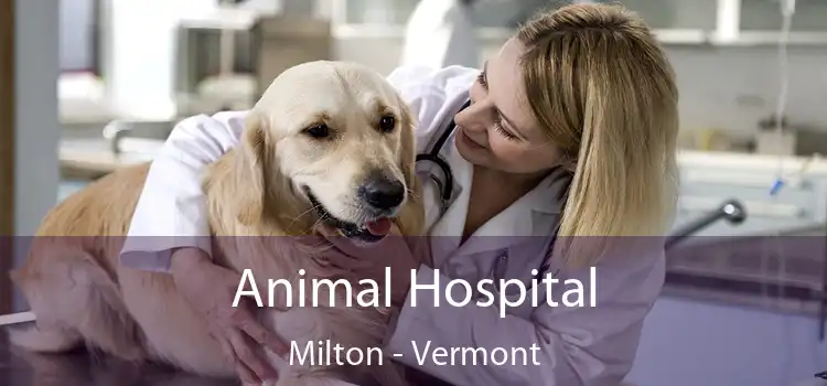 Animal Hospital Milton - Vermont