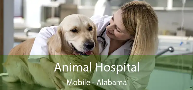 Animal Hospital Mobile - Alabama