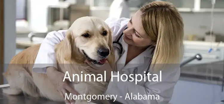 Animal Hospital Montgomery - Alabama