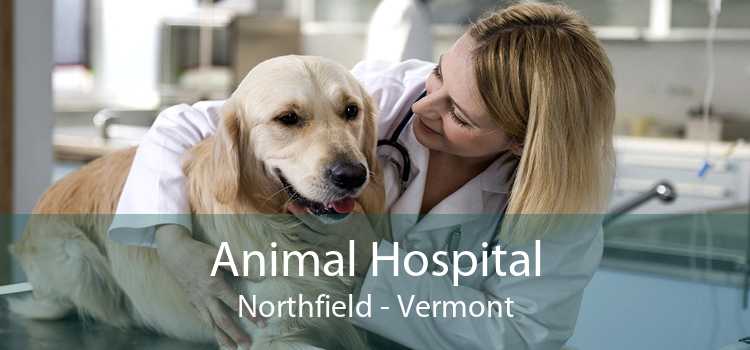 Animal Hospital Northfield - Vermont
