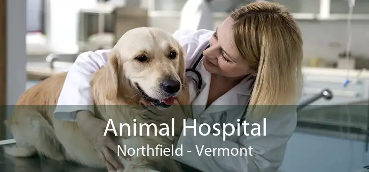 Animal Hospital Northfield - Vermont