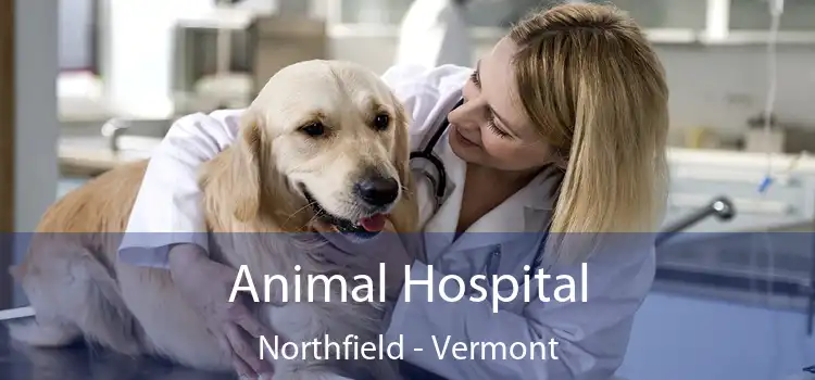 Animal Hospital Northfield - Vermont