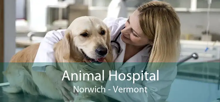 Animal Hospital Norwich - Vermont
