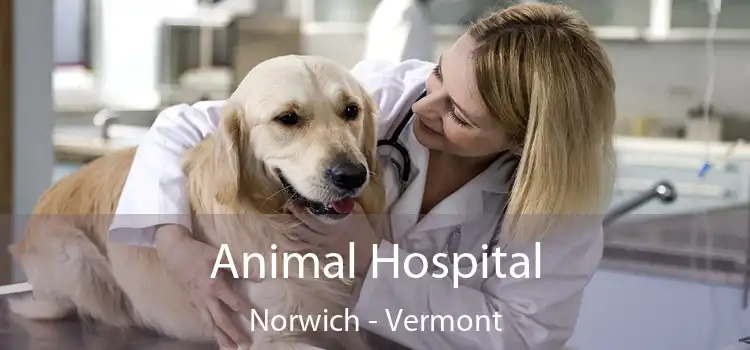 Animal Hospital Norwich - Vermont