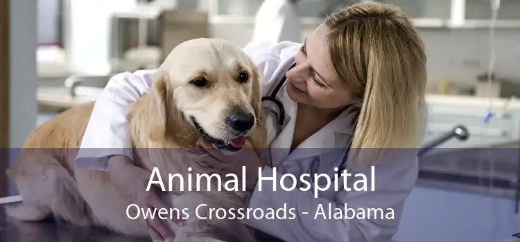 Animal Hospital Owens Crossroads - Alabama