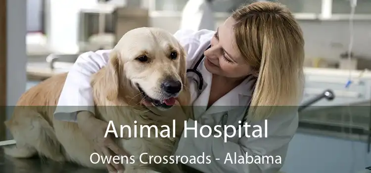 Animal Hospital Owens Crossroads - Alabama