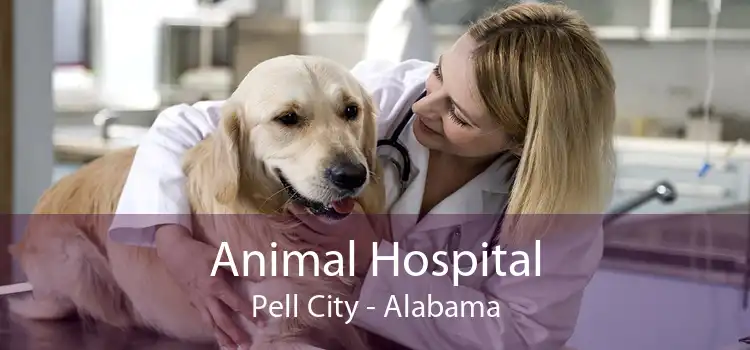 Animal Hospital Pell City - Alabama