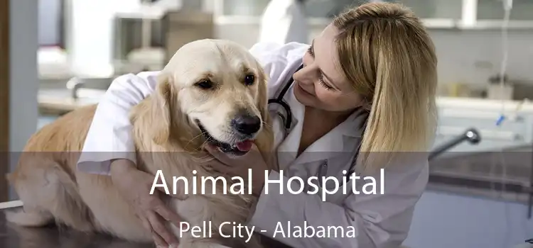 Animal Hospital Pell City - Alabama