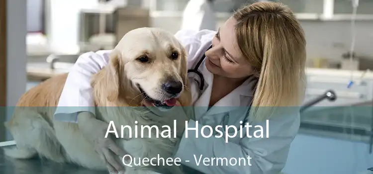 Animal Hospital Quechee - Vermont