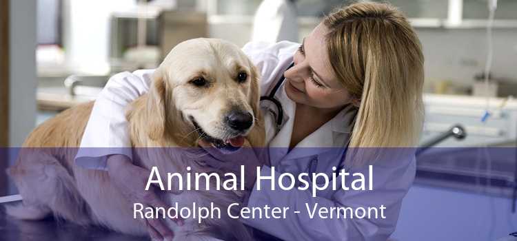 Animal Hospital Randolph Center - Vermont
