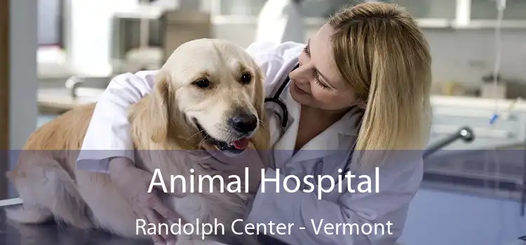 Animal Hospital Randolph Center - Vermont
