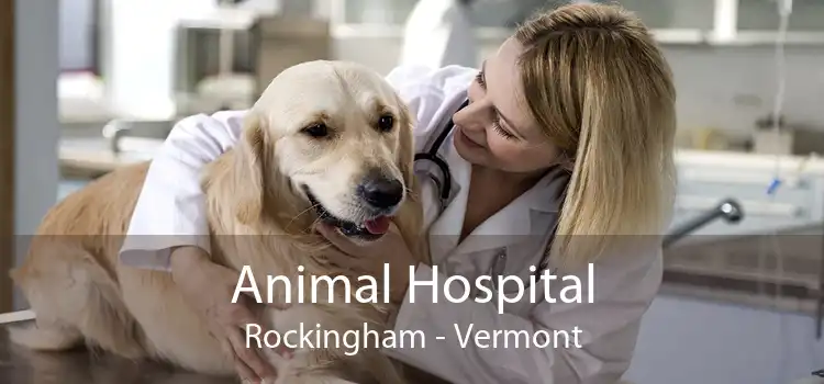 Animal Hospital Rockingham - Vermont