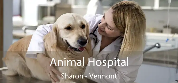 Animal Hospital Sharon - Vermont
