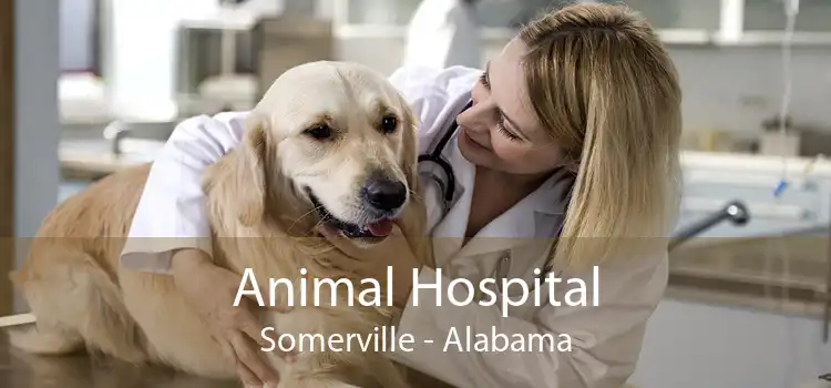 Animal Hospital Somerville - Alabama