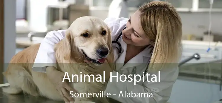 Animal Hospital Somerville - Alabama