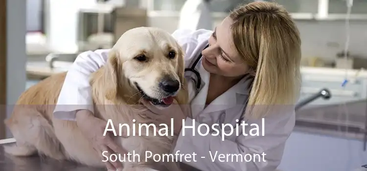 Animal Hospital South Pomfret - Vermont