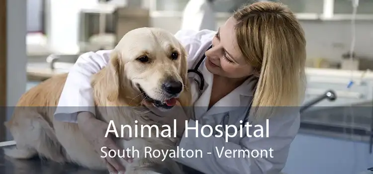 Animal Hospital South Royalton - Vermont