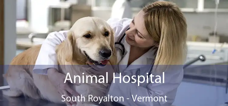 Animal Hospital South Royalton - Vermont
