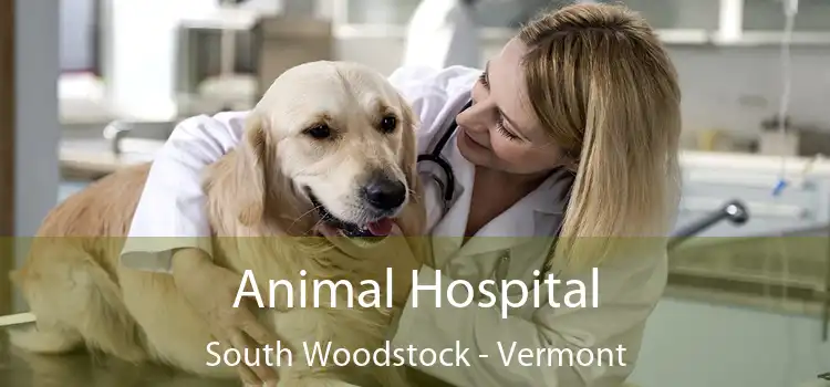 Animal Hospital South Woodstock - Vermont