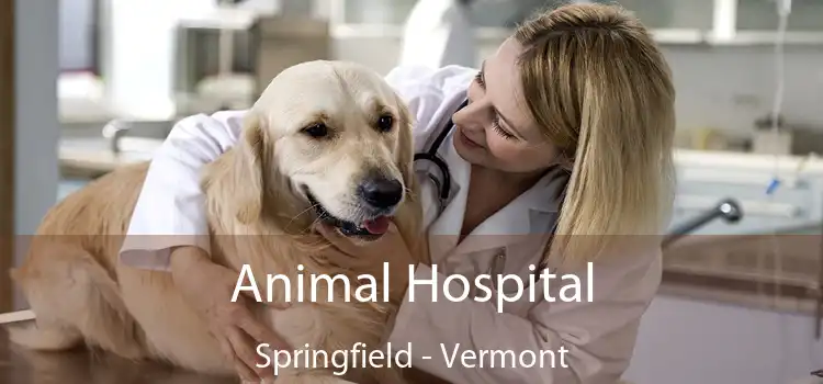 Animal Hospital Springfield - Vermont