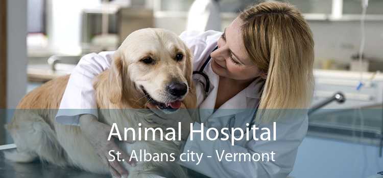 Animal Hospital St. Albans city - Vermont