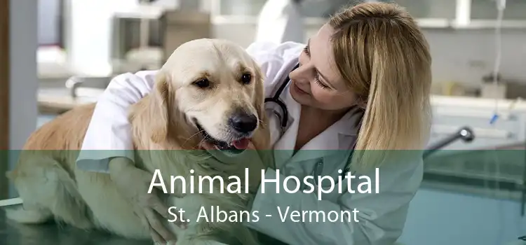 Animal Hospital St. Albans - Vermont