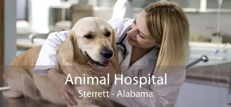 Animal Hospital Sterrett - Alabama