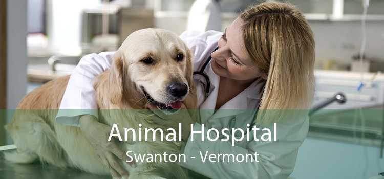 Animal Hospital Swanton - Vermont